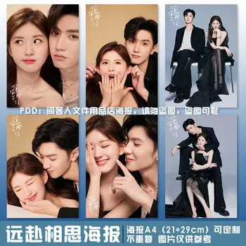 6 gabalas/set Kinijos tv serialas tou tou cang bu zhu Chen zheyuan Zhao lusi A4(21x29cm)plakatas